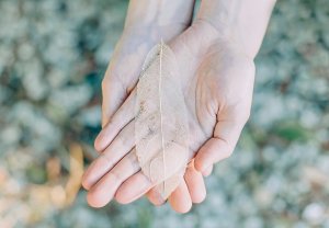 Itsekkyys vastaan itsehoiva