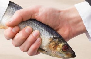 Kuinka tunnistaa ystävä joka ei välitä