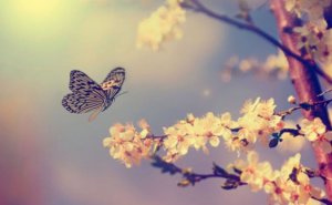 Riskit ja mahdollisuudet: aika lentää niiden tuolle puolen