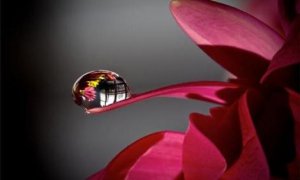 9 asiaa, jotka meidän tulisi muistaa elämästä