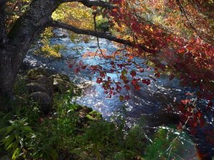 Hyväksynnän kautta oppiminen