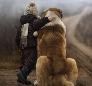 Meitä eivät määrittele saavutukset, vaan haasteet