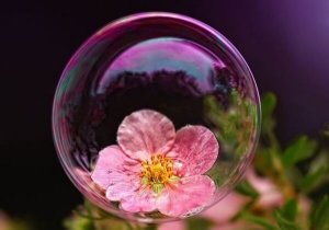 Ylisuojeleva “turvakupla” vaaroineen