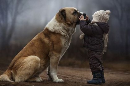 Lapsi ja koira