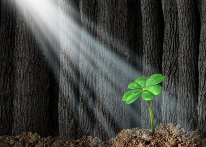 Neliapila - virheiden poistaminen