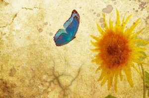 Tee sitä, mikä on tekemisen arvoista ja taistele sen puolesta, mikä on sen arvoista