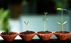 8 merkkiä henkisestä kasvusta