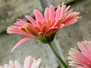 Tämän takia itsetunto on tärkeää