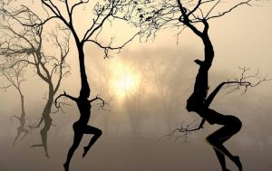 Kumpi tekee elämästä onnellisemman, pysyvyys vai muutos?