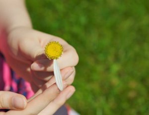 5 avainta hyvään parisuhteeseen