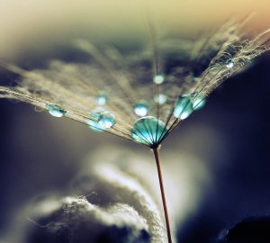 Vahvuutesi löytyy haavoittuvaisuudestasi