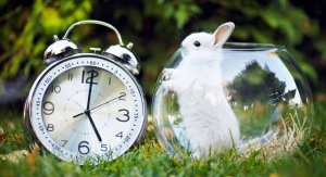 20 hyödyllistä asiaa, jotka voit tehdä 5 minuutissa