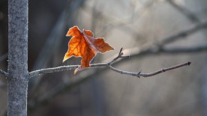 Masennus ja hiljaisesti kärsiminen