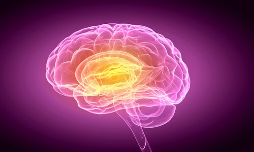 Aivot ja päätöksenteko