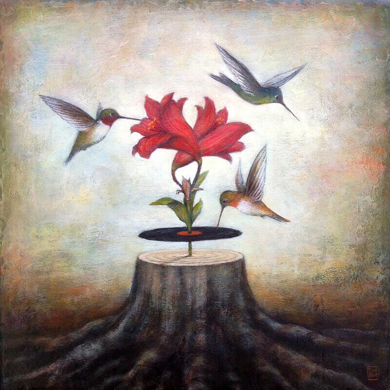 Kolibrit soittavat puulevyä