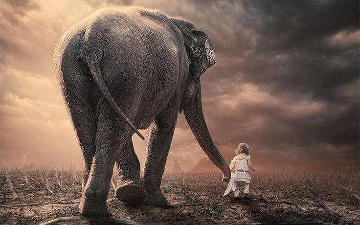 norsu ja tytto
