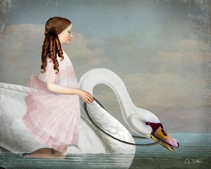 Tyttö pitää huolta joutsenesta