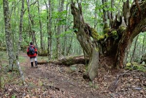 Onko sattumia todella olemassa?
