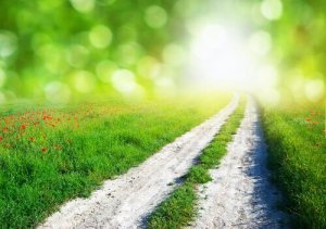 Kolme vaistoa, jotka harvoin pettävät