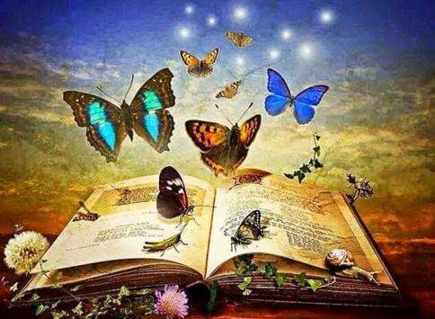 Kirja ja perhoset