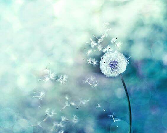 erityisherkkyys-suojattomana-neulojen-maailmassa3