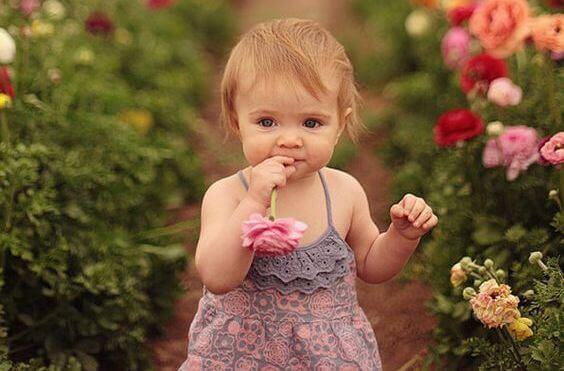 Pieni tyttö, kukka ja hajuaisti