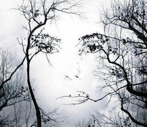 naisen kasvot puissa