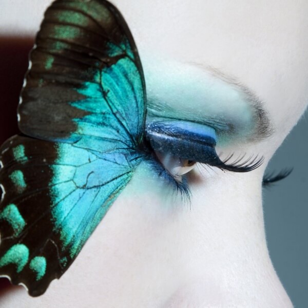 Sinisen perhosen tarina