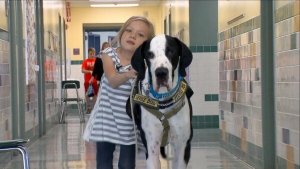 "Tukeudu minuun": Bellan ja Georgen ihana tarina