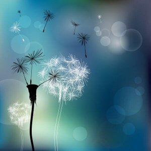 Miten vapautat itsesi myrkyllisistä ihmisistä