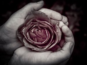 Täydellisyys, joka asuu epätäydellisyydessä