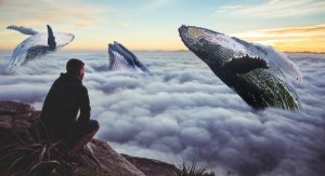 Hyväksy itsesi ehdoitta