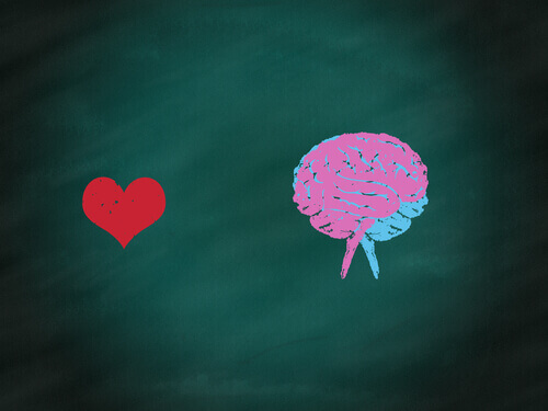 Sydän ja aivot