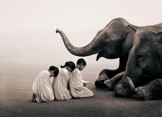 norsut ja lapset