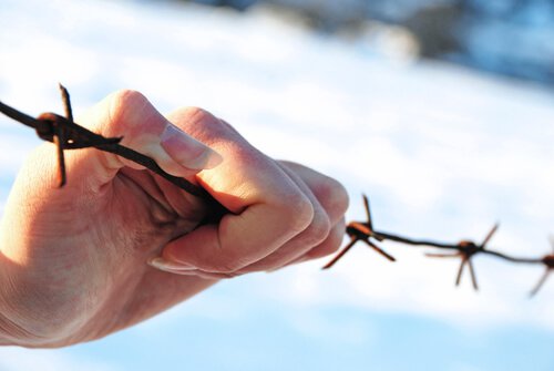 käsi piikkilangalla