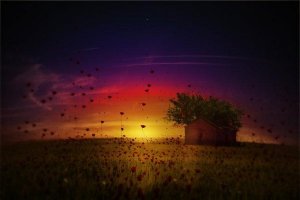 Tunneperäinen markkinointi ostaa tunteesi