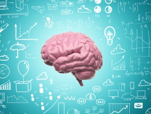 Neuroplastisuuden ansiosta emme koskaan lakkaa oppimista