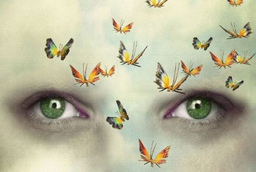 silmät ja perhoset