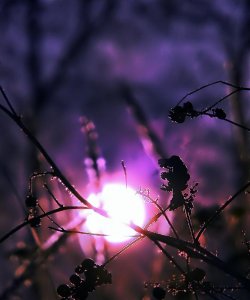 Matka itsetutkiskeluun