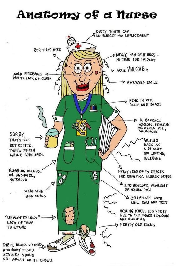 sairaanhoitajan anatomia