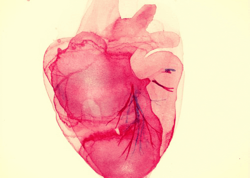 sydän