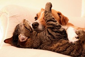 Mitä tehdä, kun ihmisiin luottaminen tuntuu vaikealta