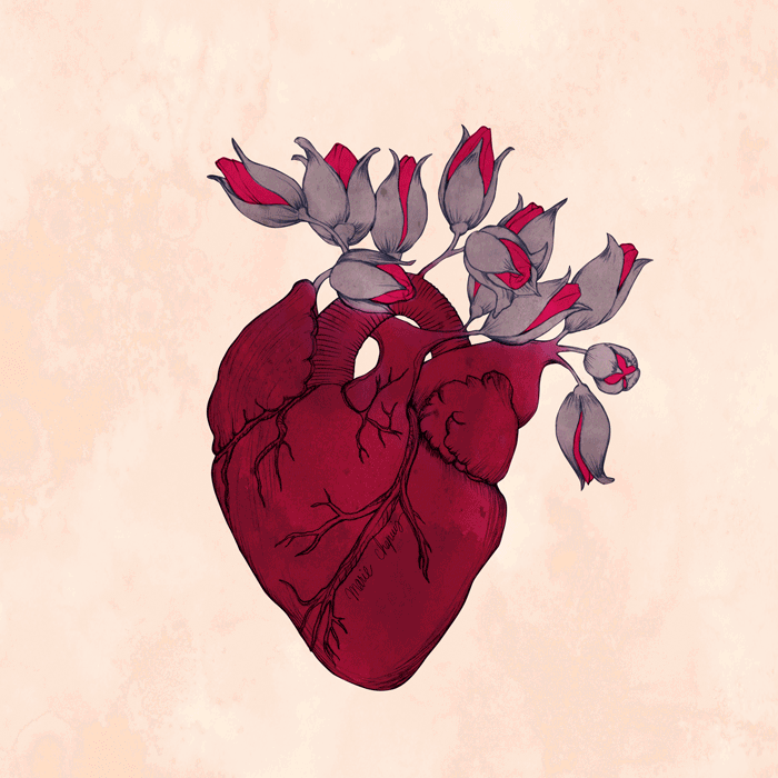 sydän ja ruusut
