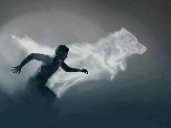 mies juoksee suden kanssa