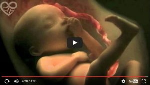 Hedelmöitys ja raskaus mahtavalla videolla