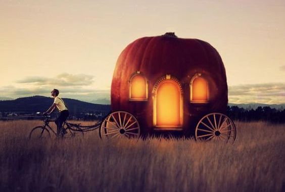 mies vetää kurpitsavaunuja pyörällä