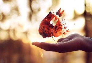 On vuosia aikaa kysyä kysymyksiä ja vuosia löytää vastauksia