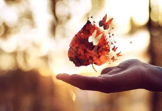 perhonen lähtee lehdestä