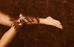 Saniainen ja bambu: tarina toivosta