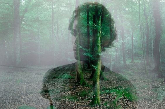 ihmisen kuva metsässä